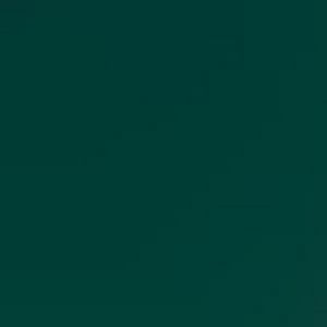 Meet your Posher, Gracie